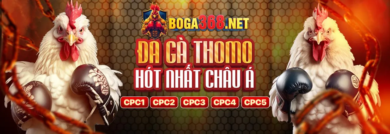Hình ảnh tổng quan về nền tảng ke9 đăng ký